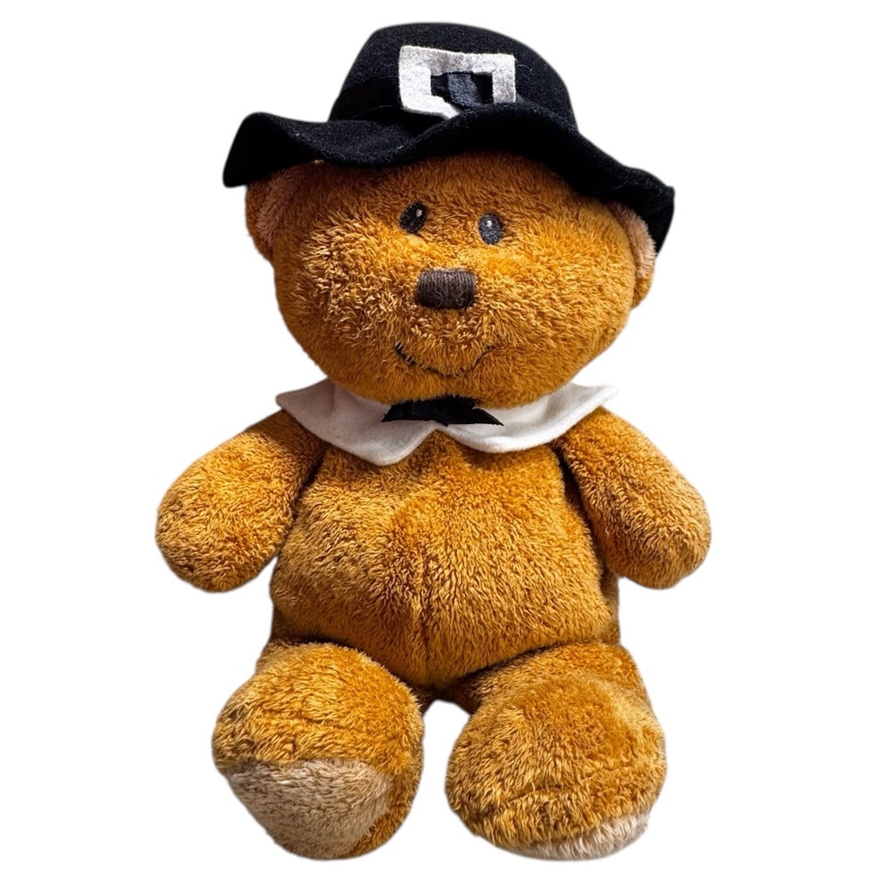 TY Pluffies LIL PILGRIM Bear 2008 Barnes & Noble Exclusive Collectible 10” EUC!